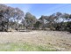 20 Billywillinga Road, Billywillinga NSW 2795