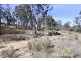 20 Billywillinga Road, Billywillinga NSW 2795