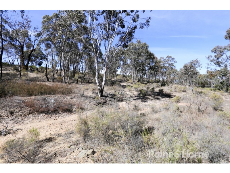 20 Billywillinga Road, Billywillinga NSW 2795