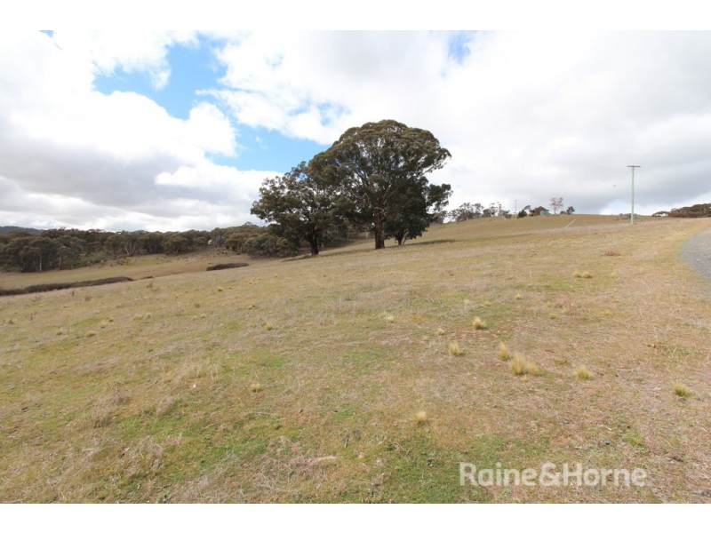 343 Yetholme Drive, Yetholme NSW 2795