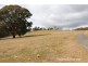 343 Yetholme Drive, Yetholme NSW 2795