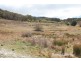 343 Yetholme Drive, Yetholme NSW 2795