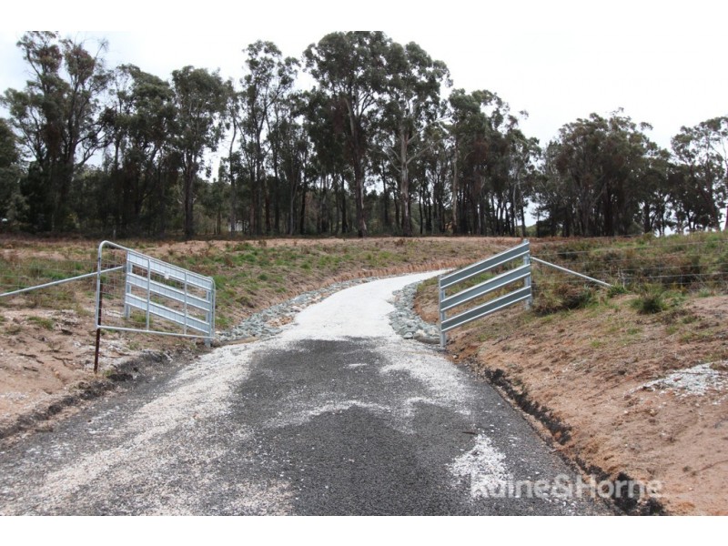343 Yetholme Drive, Yetholme NSW 2795