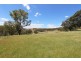 879 Kentucky Road, Neville NSW 2799