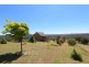 879 Kentucky Road, Neville NSW 2799