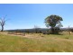 879 Kentucky Road, Neville NSW 2799