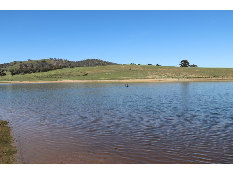 2171 Sofala Road, Peel NSW 2795