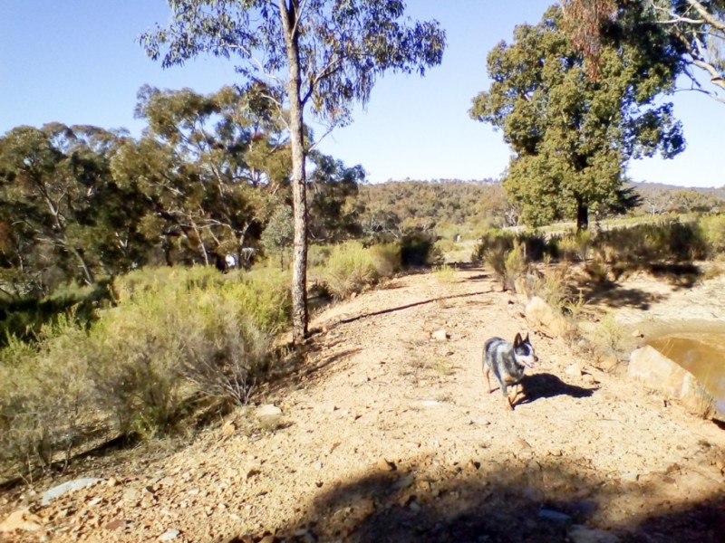 Lot 2 Beard Street, Hill End NSW 2850