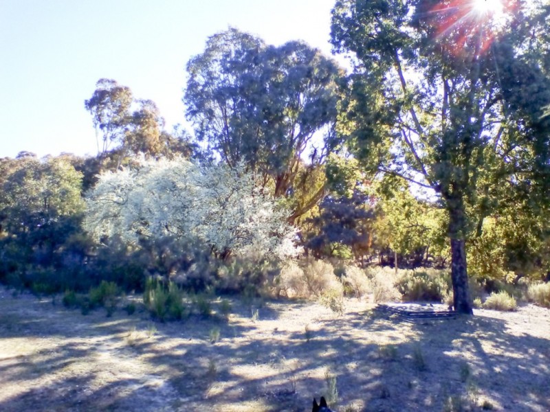 Lot 2 Beard Street, Hill End NSW 2850