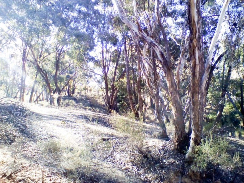 Lot 2 Beard Street, Hill End NSW 2850