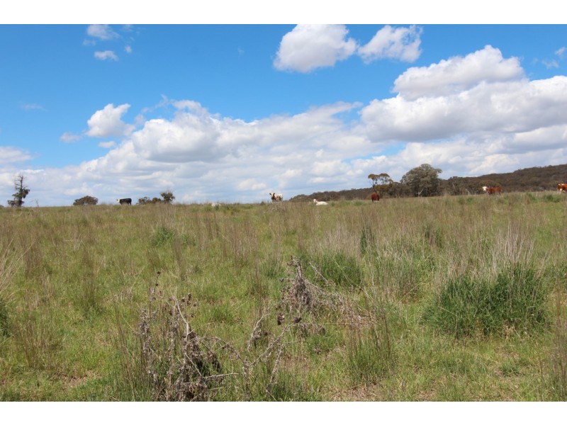 2097 Mitchell Highway, Bathurst NSW 2795