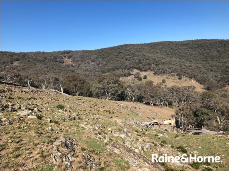 Lot 23 and 24, 540 Ullamulla Road, Hill End NSW 2850