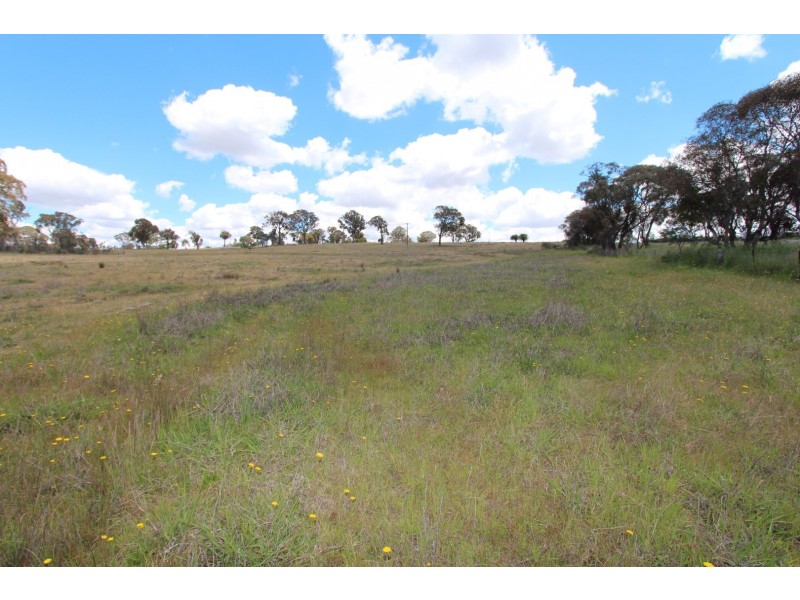 2097 Mitchell Highway, Vittoria NSW 2799