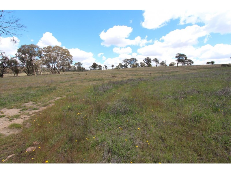 2097 Mitchell Highway, Vittoria NSW 2799