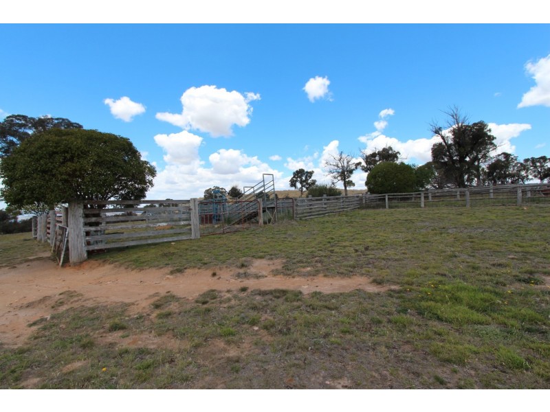 2097 Mitchell Highway, Vittoria NSW 2799
