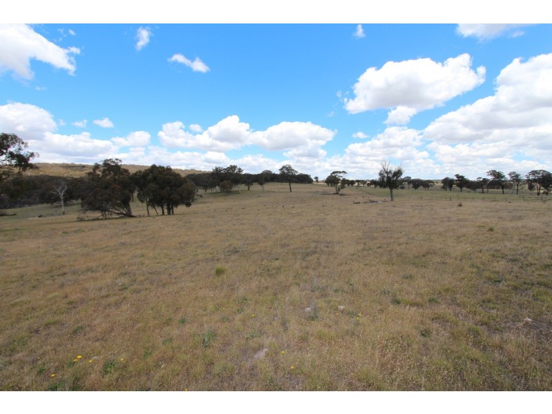 2097 Mitchell Highway, Vittoria NSW 2799