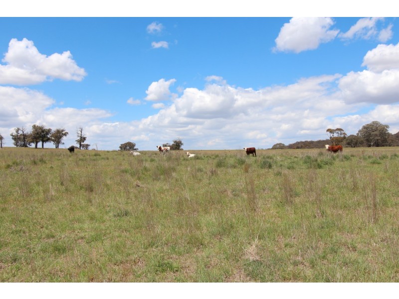 2097 Mitchell Highway, Vittoria NSW 2799