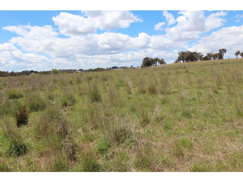 2097 Mitchell Highway, Vittoria NSW 2799