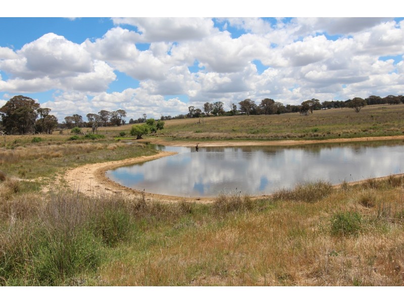 2097 Mitchell Highway, Vittoria NSW 2799