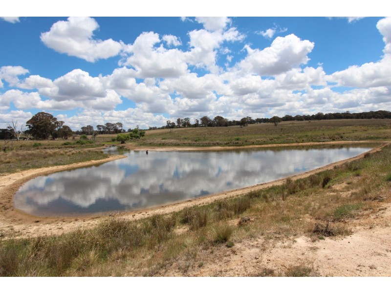 2097 Mitchell Highway, Vittoria NSW 2799