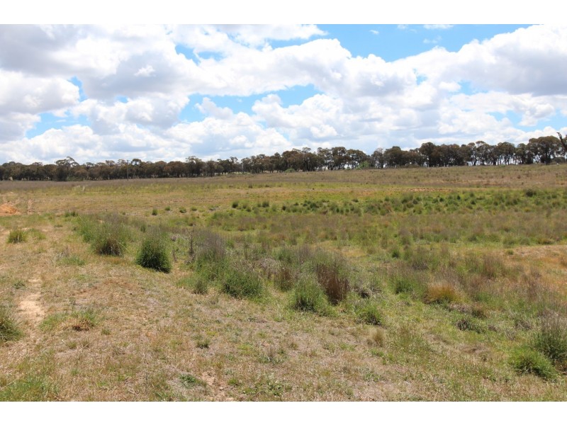 2097 Mitchell Highway, Vittoria NSW 2799