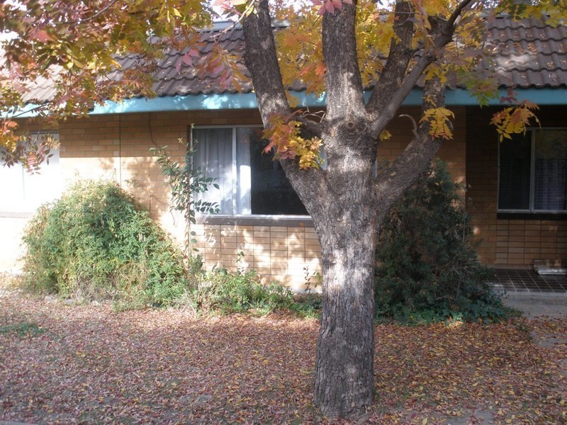 5/223 Lambert street, Bathurst NSW 2795