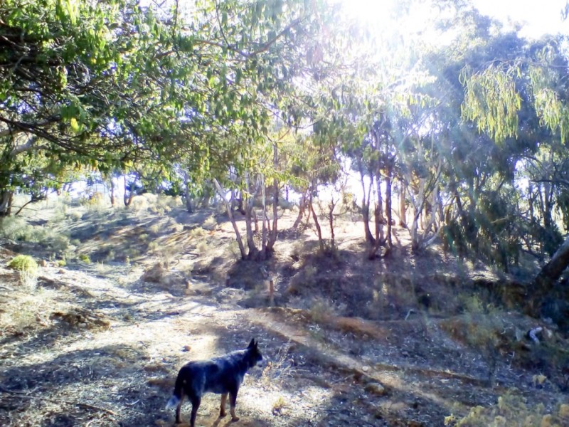 Lot 2 Beard Street, Hill End NSW 2850