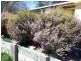 Bathurst NSW 2795