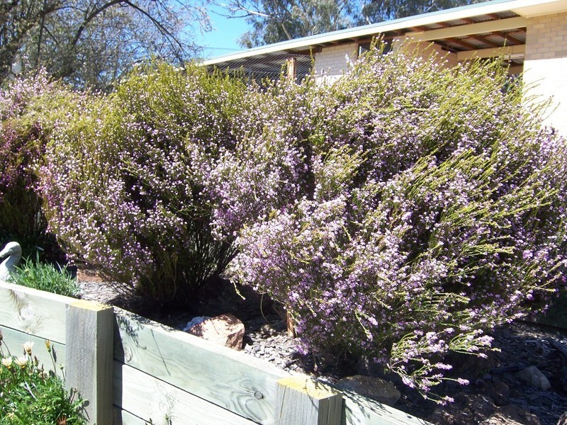 Bathurst NSW 2795