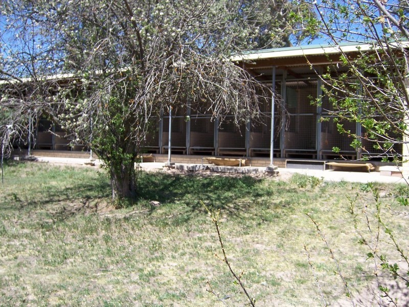 Bathurst NSW 2795