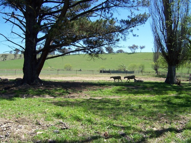 Bathurst NSW 2795