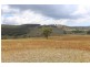 63 Wylchris Lane, Mount Rankin NSW 2795