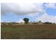 63 Wylchris Lane, Mount Rankin NSW 2795
