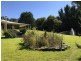 1018 Freemantle Road, Billywillinga NSW 2795