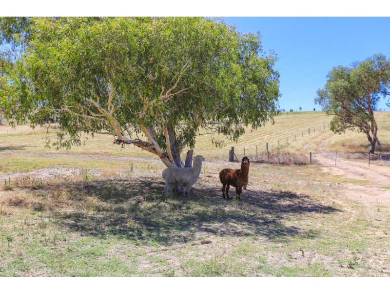 Lot 82 Samuel Way, The Lagoon NSW 2795