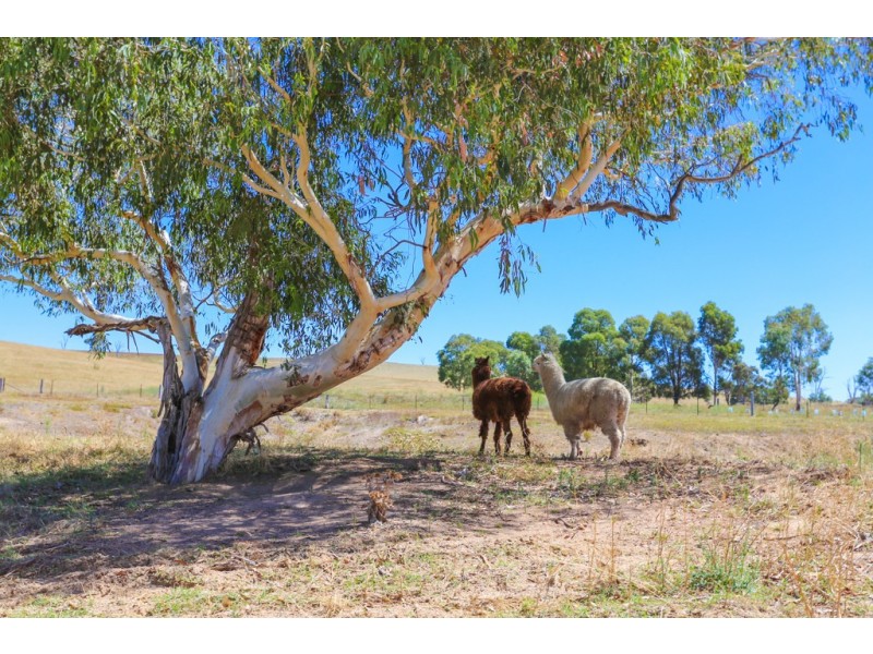 Lot 82 Samuel Way, The Lagoon NSW 2795