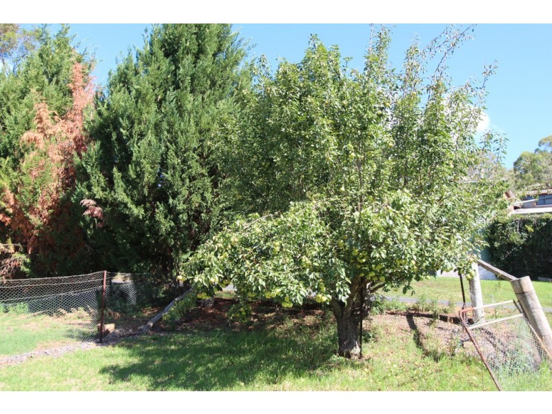 15 Bowen Street, Sofala NSW 2795