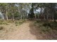 Lot 14, 1238 Sunny Corner Road, Sunny Corner NSW 2795