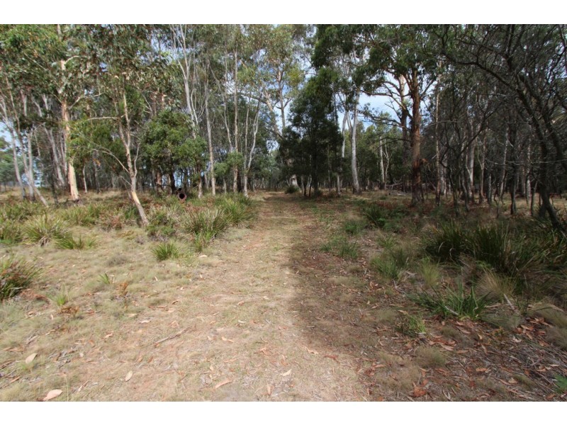 Lot 14, 1238 Sunny Corner Road, Sunny Corner NSW 2795
