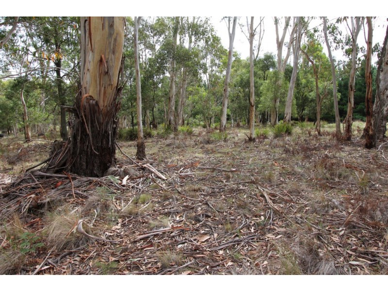 Lot 14, 1238 Sunny Corner Road, Sunny Corner NSW 2795