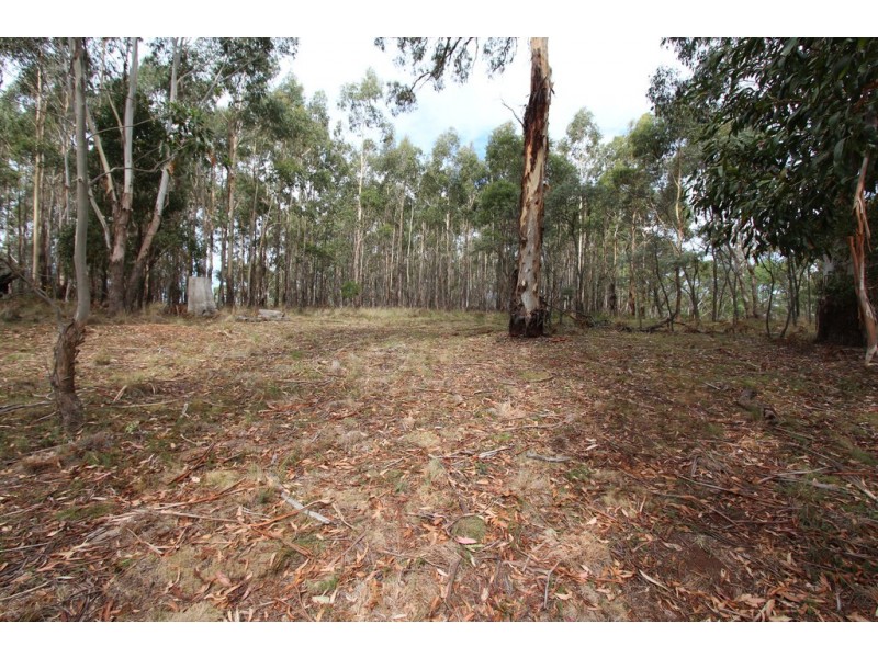 Lot 14, 1238 Sunny Corner Road, Sunny Corner NSW 2795