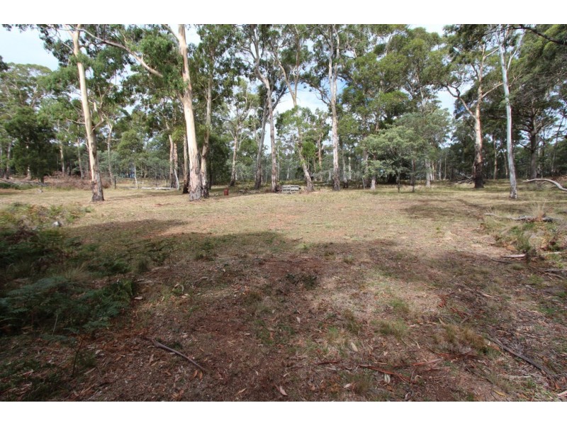 Lot 14, 1238 Sunny Corner Road, Sunny Corner NSW 2795