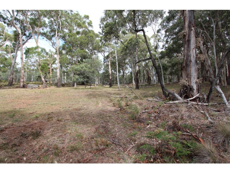 Lot 14, 1238 Sunny Corner Road, Sunny Corner NSW 2795