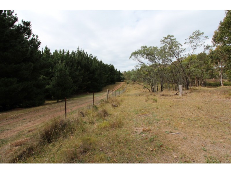 Lot 14, 1238 Sunny Corner Road, Sunny Corner NSW 2795