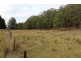 Lot 14, 1238 Sunny Corner Road, Sunny Corner NSW 2795