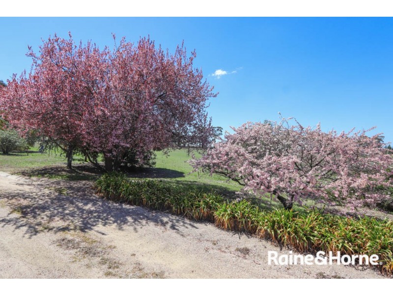 439 Freemantle Road, Mount Rankin NSW 2795