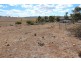 143 Triangle Flat Road, Rockley NSW 2795