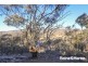 263 Killongbutta Road, Killongbutta NSW 2795