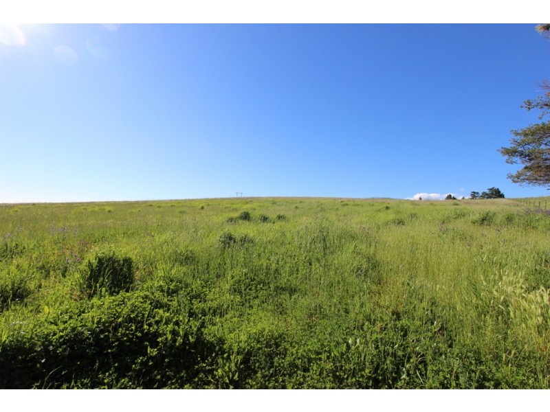 795 Sofala Road, Laffing Waters NSW 2795