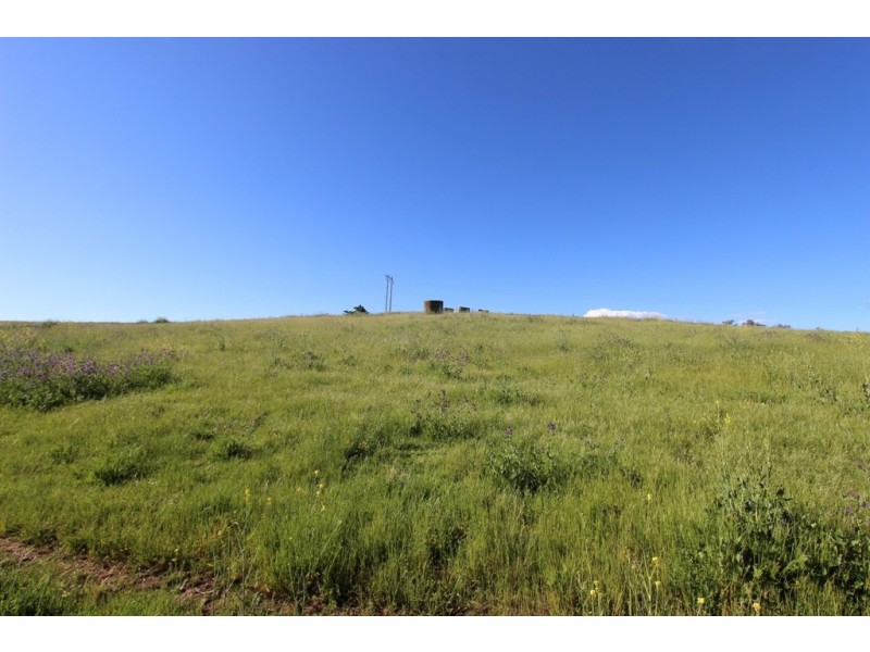 795 Sofala Road, Laffing Waters NSW 2795